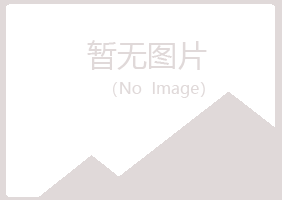 北京西城山柏水泥有限公司